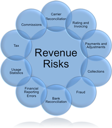 revenue_risks